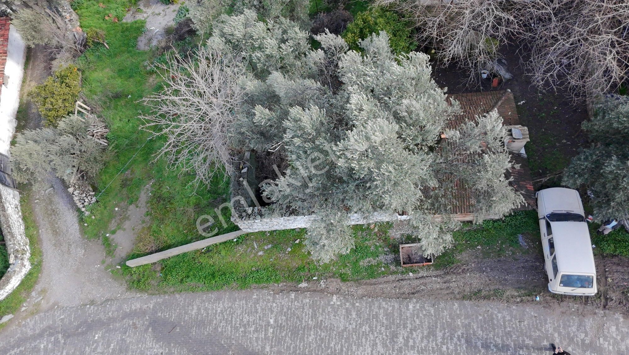 🏡 Satılık Kargir Köy Evi – Aydın / Bozdoğan / Haydere - Görsel 12