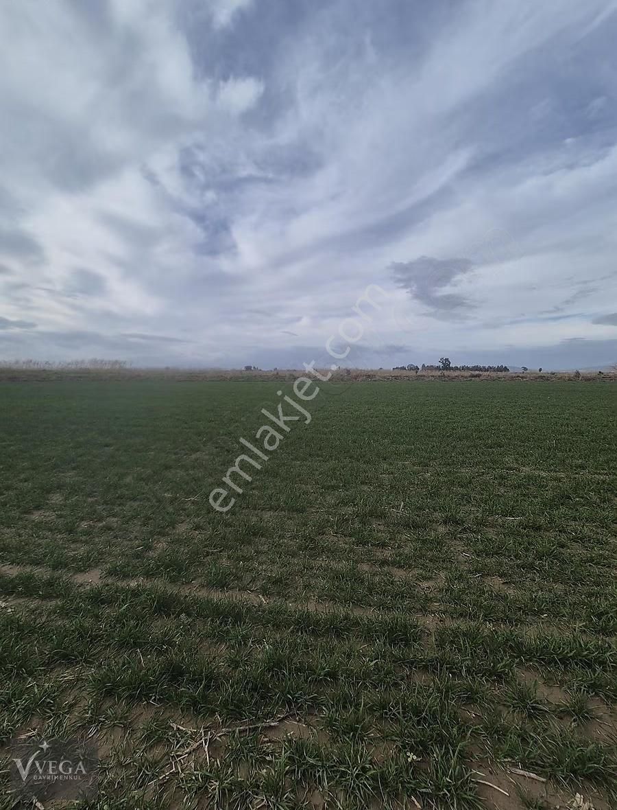 İzmir Menemen Süzbeyli Köyünde Satılık 6604 M2 Uygun Tarla - Görsel 9