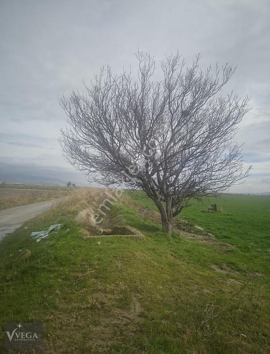 İzmir Menemen Süzbeyli Köyünde Satılık 6604 M2 Uygun Tarla