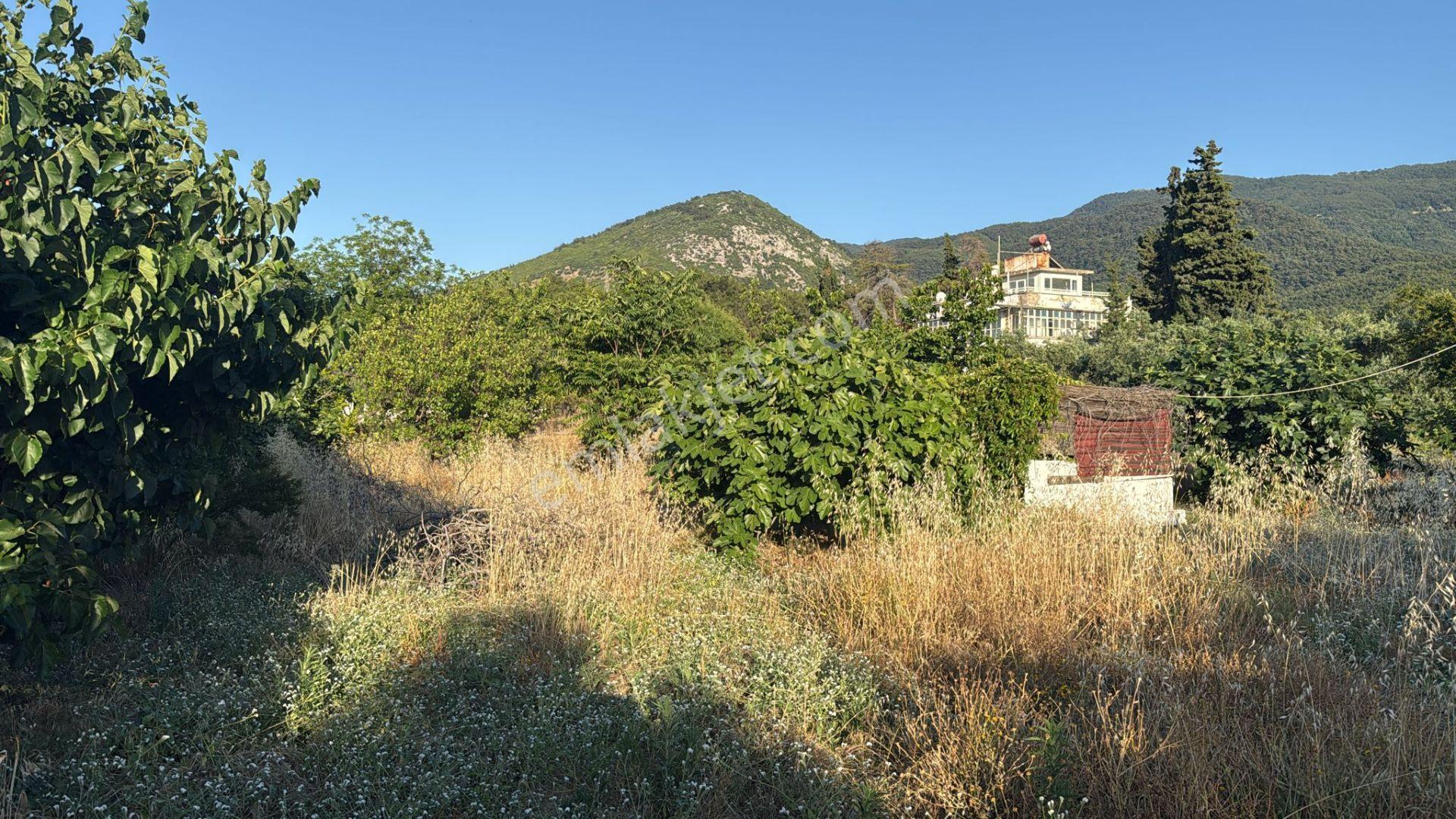 Kuşadası Güzelçamlı Mahallesinde Satılık Tarla - Görsel 33