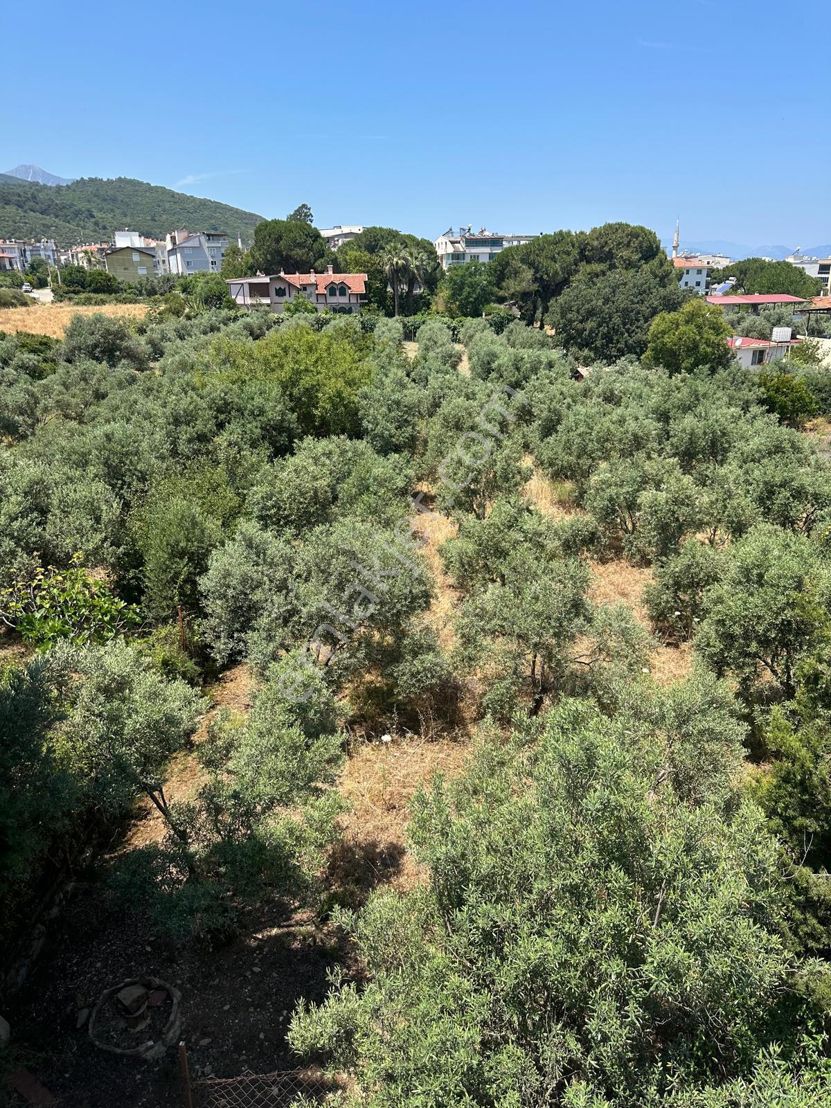 Kuşadası Güzelçamlı Mahallesinde Satılık Tarla - Görsel 31