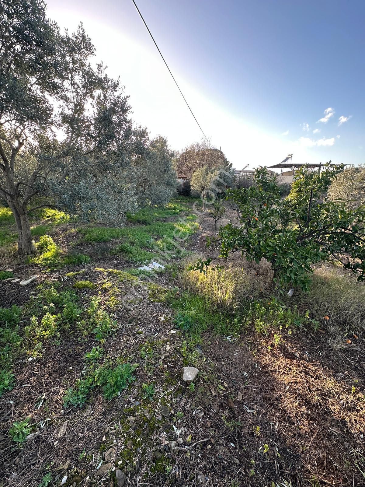Kuşadası Güzelçamlı Mahallesinde Satılık Tarla - Görsel 12