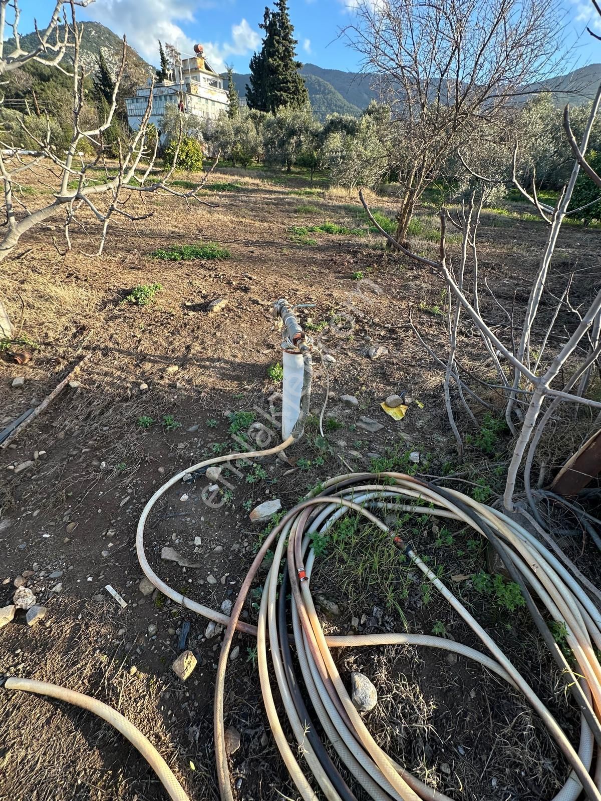 Kuşadası Güzelçamlı Mahallesinde Satılık Tarla - Görsel 9