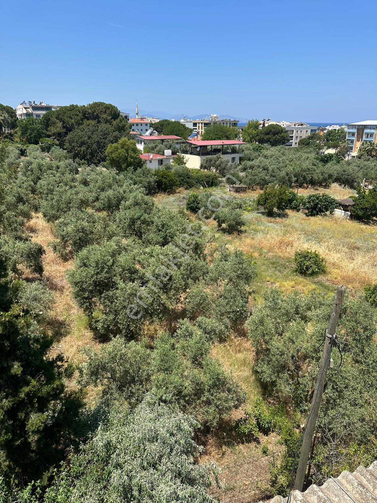 Kuşadası Güzelçamlı Mahallesinde Satılık Tarla - Görsel 25