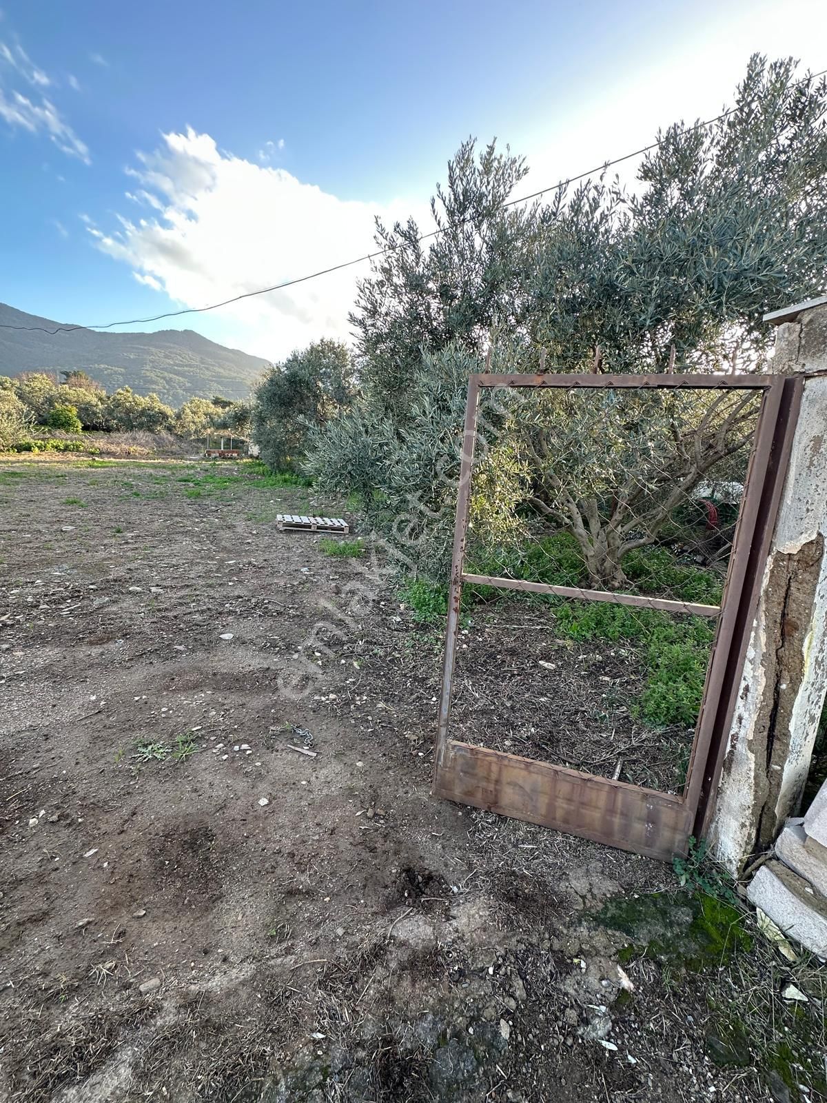 Kuşadası Güzelçamlı Mahallesinde Satılık Tarla - Görsel 6