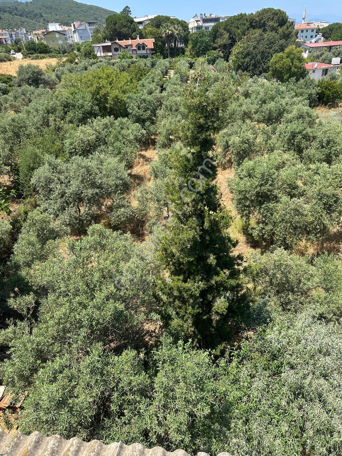 Kuşadası Güzelçamlı Mahallesinde Satılık Tarla - Görsel 27