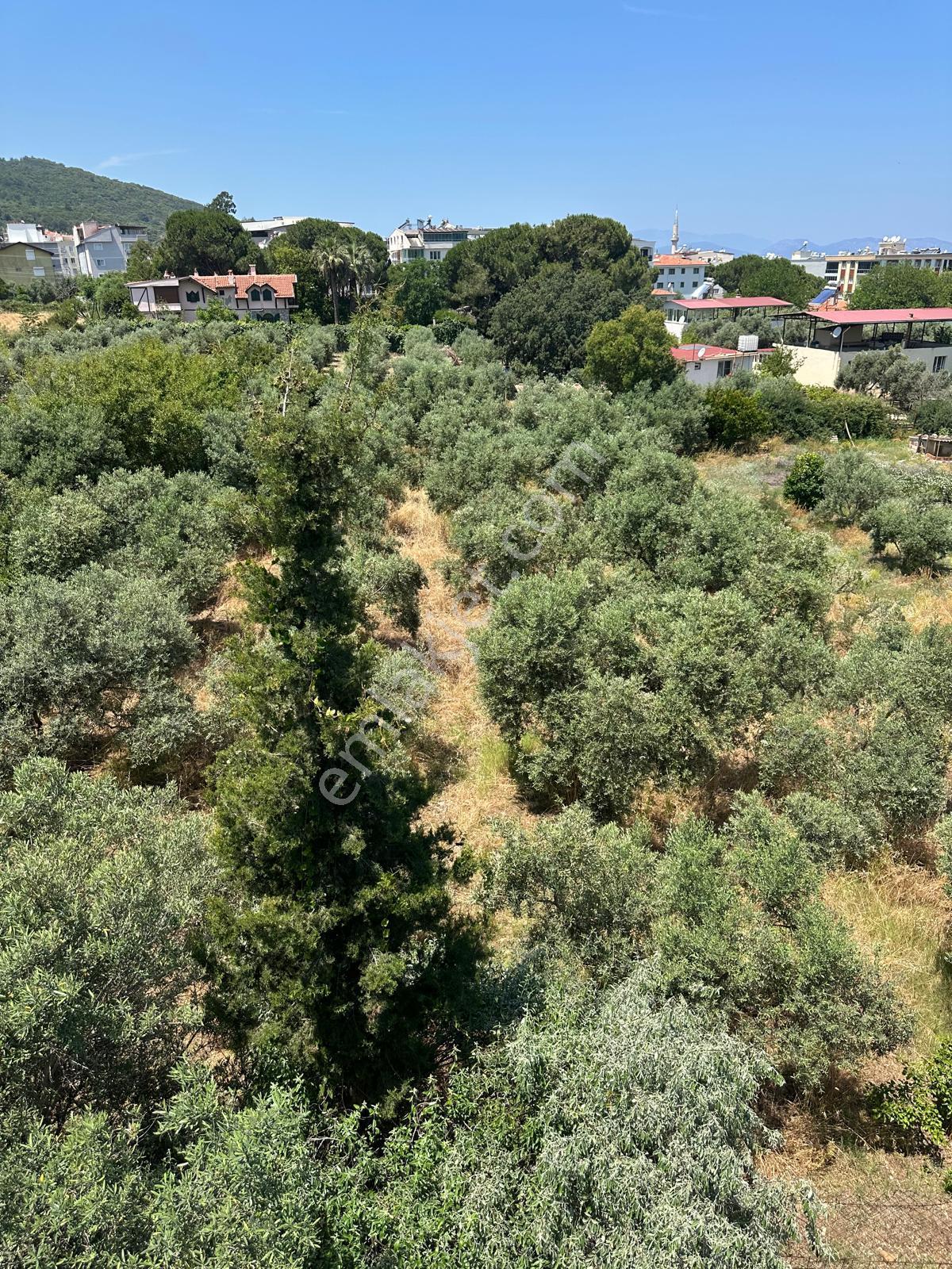 Kuşadası Güzelçamlı Mahallesinde Satılık Tarla - Görsel 26