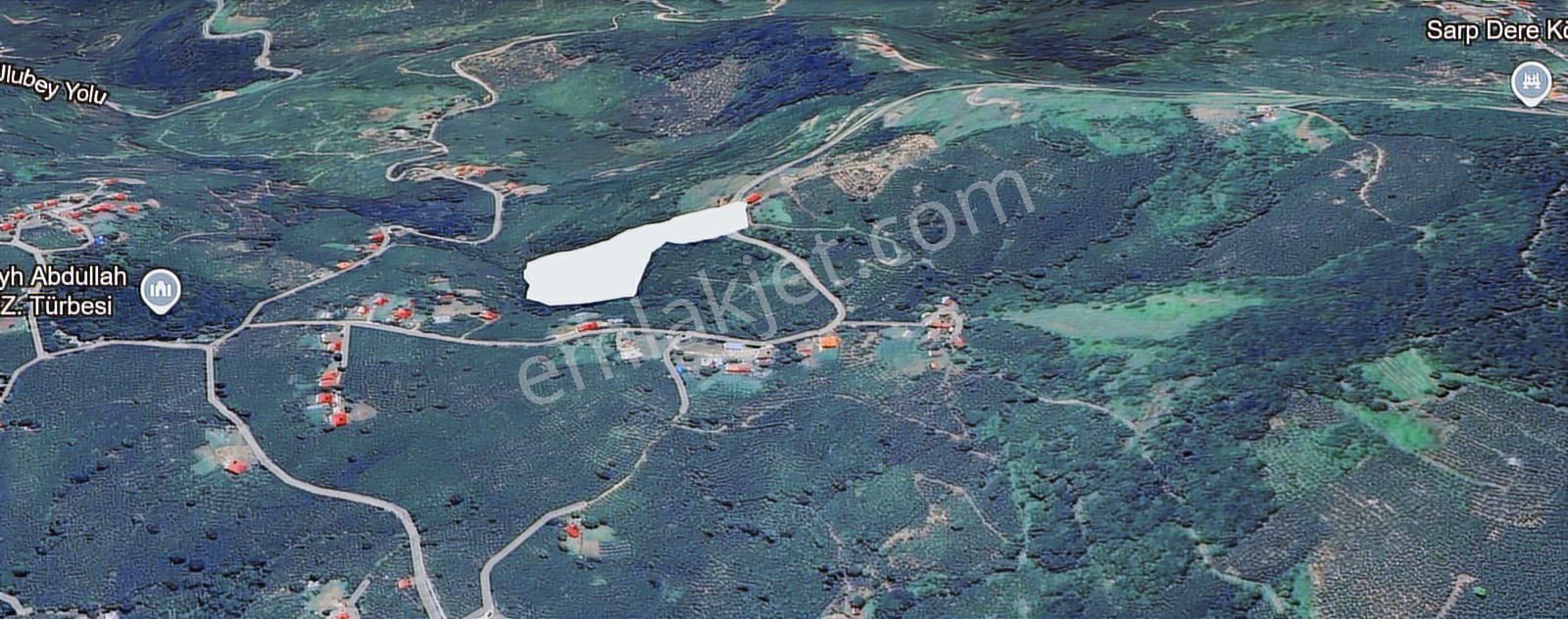 Ordu Ulubey Şıhlar Mah. Satılık Bağ Bahçe - Görsel 4