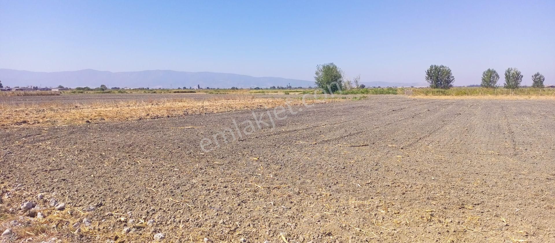 Torbalı Emlak'tan Arslanlarda 2330m2 Hisse Olan Hazine Arazisi Satılıktır - Görsel 7