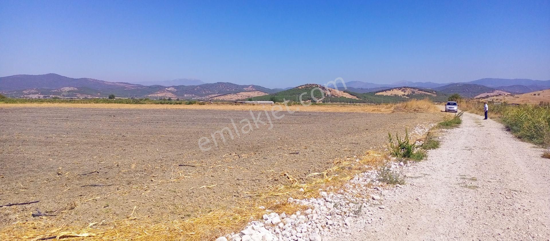 Torbalı Emlak'tan Arslanlarda 2330m2 Hisse Olan Hazine Arazisi Satılıktır - Görsel 2