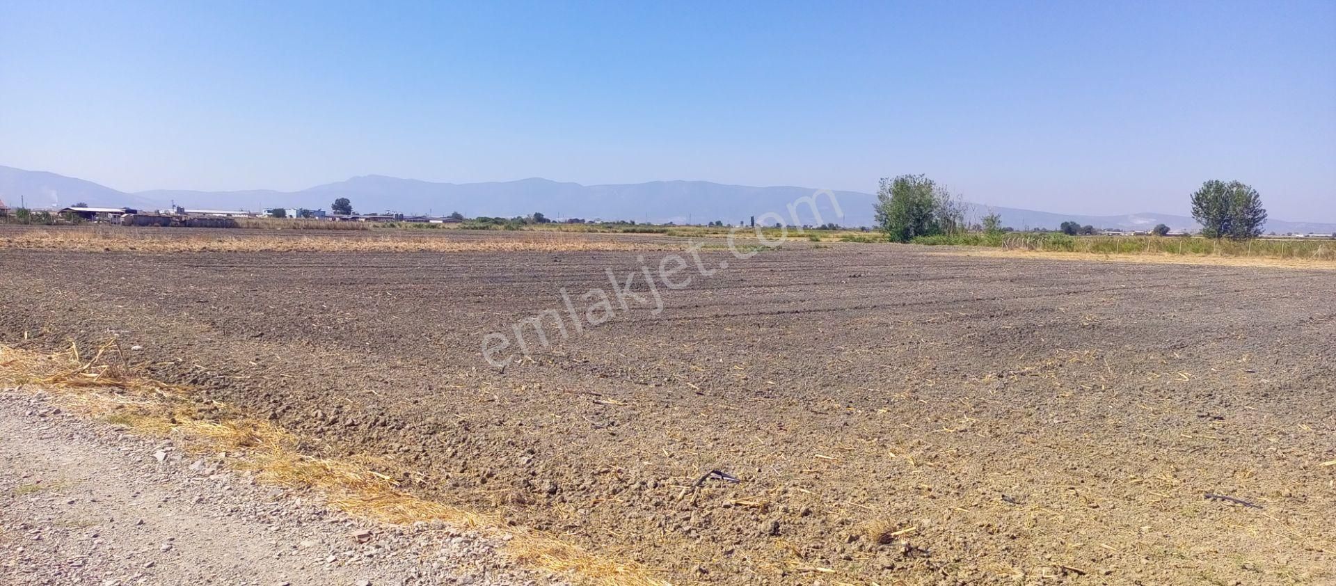 Torbalı Emlak'tan Arslanlarda 2330m2 Hisse Olan Hazine Arazisi Satılıktır - Görsel 6