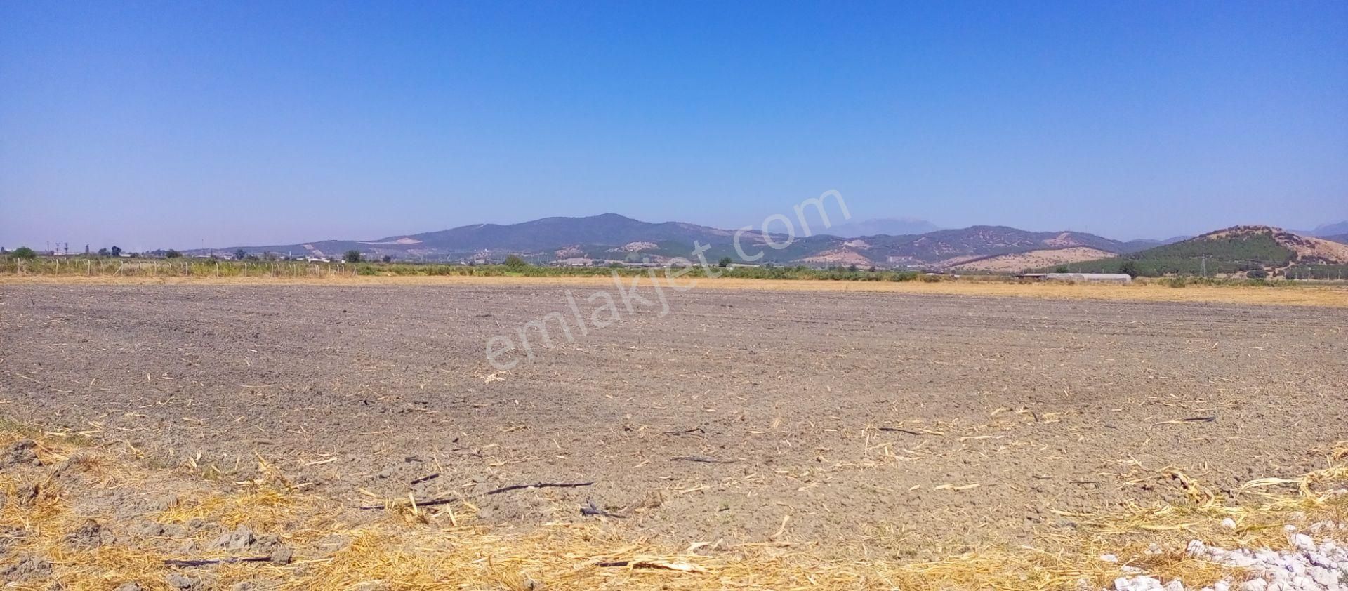 Torbalı Emlak'tan Arslanlarda 2330m2 Hisse Olan Hazine Arazisi Satılıktır - Görsel 9