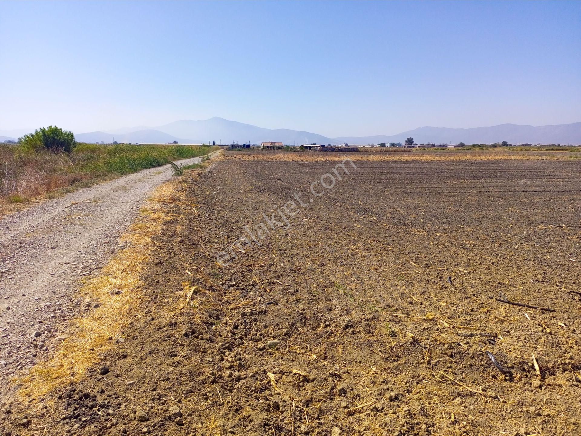 Torbalı Emlak'tan Arslanlarda 2330m2 Hisse Olan Hazine Arazisi Satılıktır