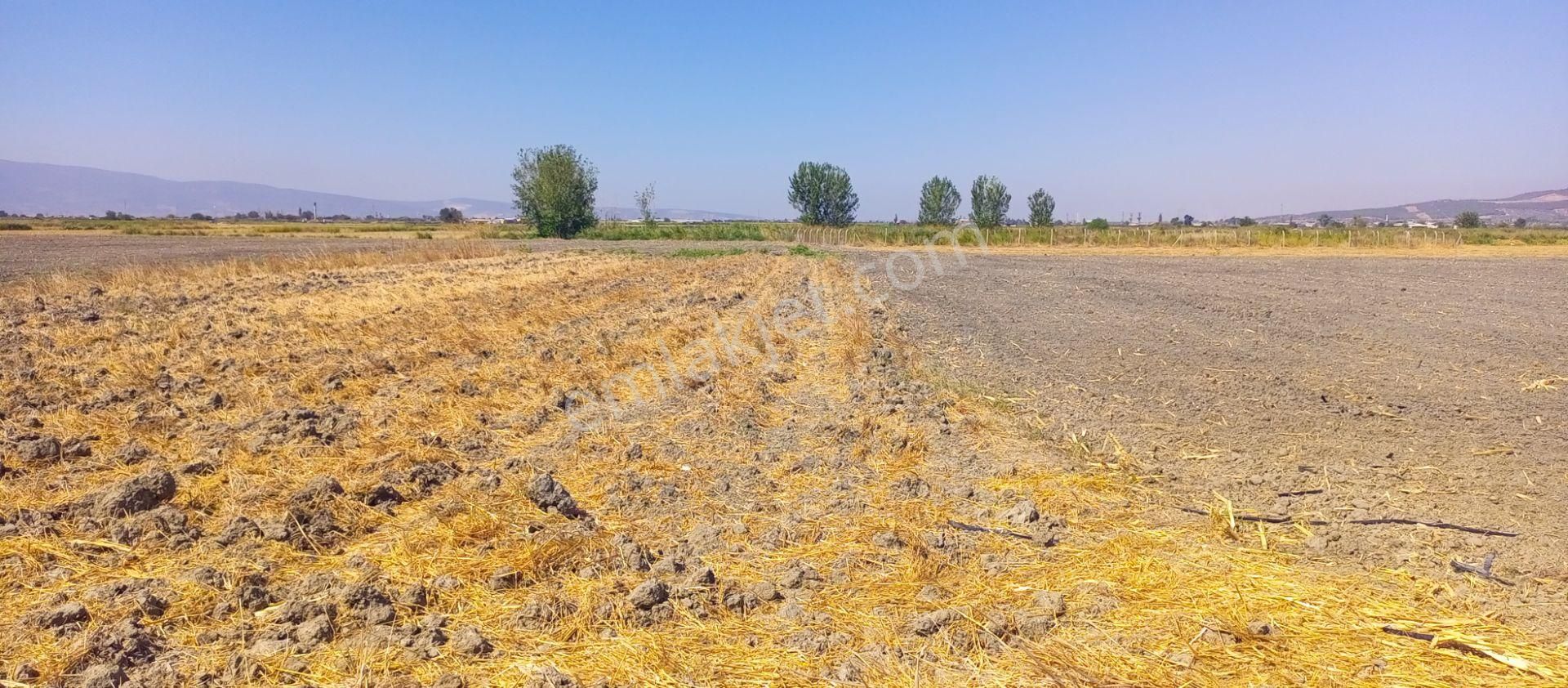 Torbalı Emlak'tan Arslanlarda 2330m2 Hisse Olan Hazine Arazisi Satılıktır - Görsel 8