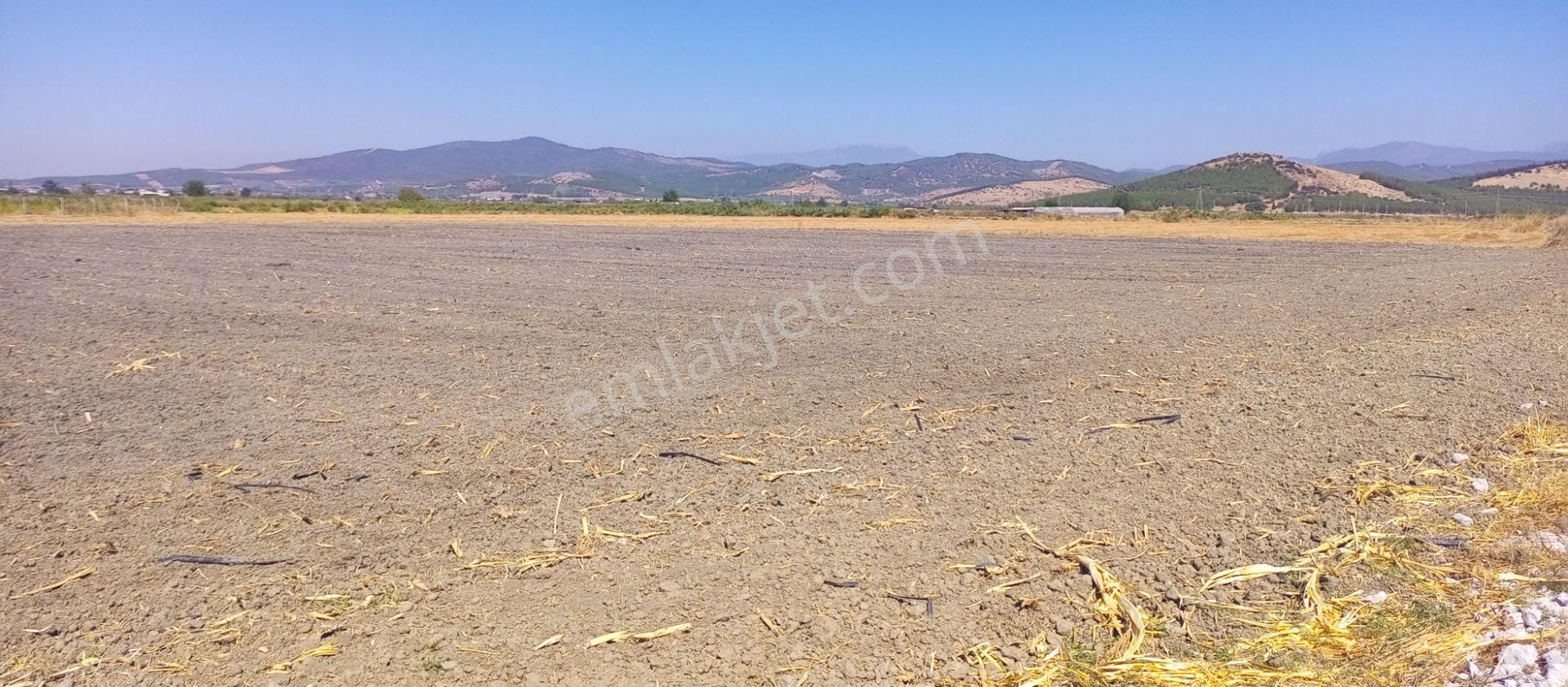 Torbalı Emlak'tan Arslanlarda 2330m2 Hisse Olan Hazine Arazisi Satılıktır - Görsel 13