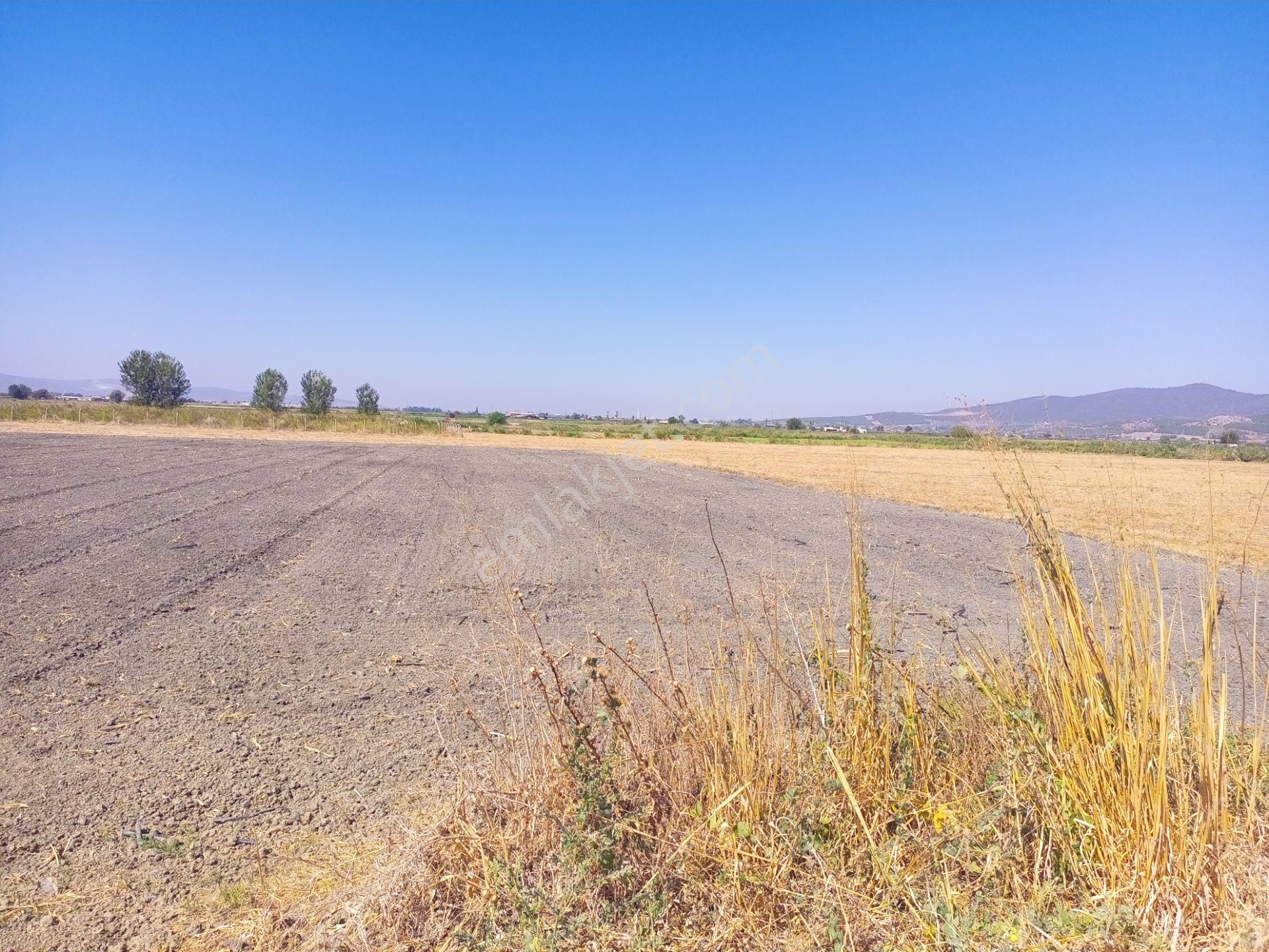 Torbalı Emlak'tan Arslanlarda 2330m2 Hisse Olan Hazine Arazisi Satılıktır - Görsel 3