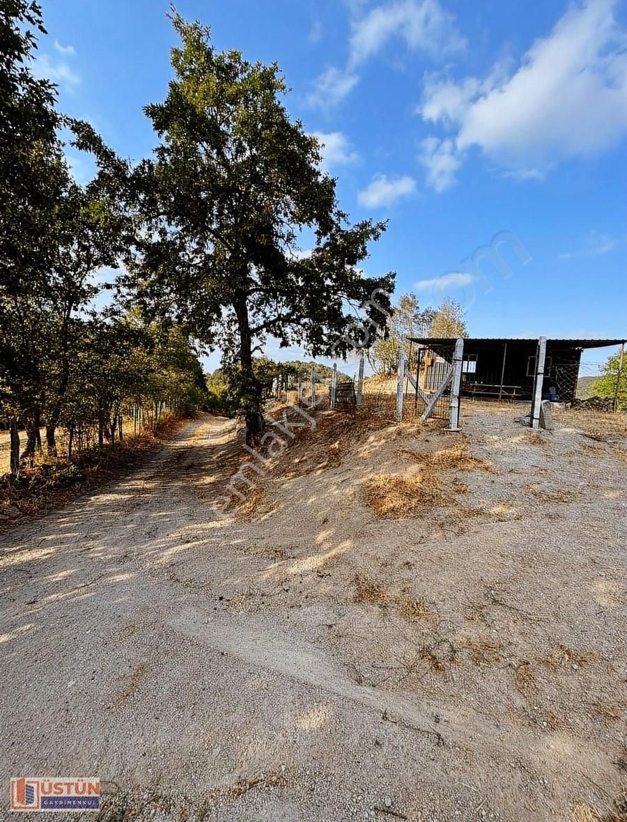 **konteynerli Donanımlı 277 M² Doğa Manzaralı Satılık Bahçe** - Görsel 23