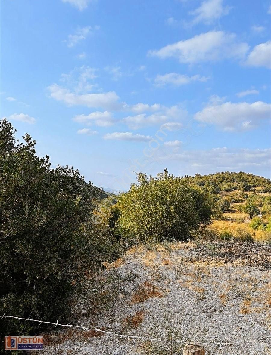 **konteynerli Donanımlı 277 M² Doğa Manzaralı Satılık Bahçe** - Görsel 8