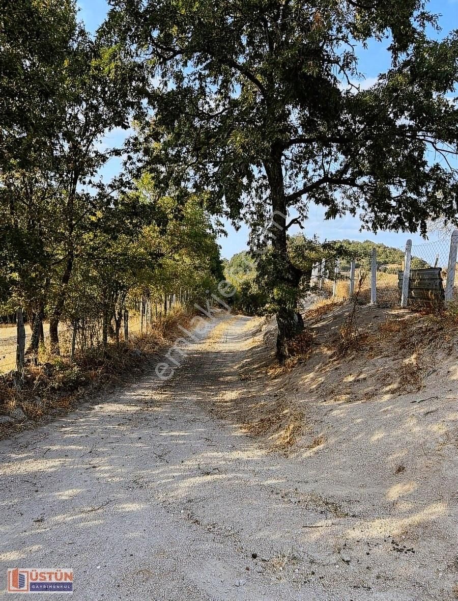 **konteynerli Donanımlı 277 M² Doğa Manzaralı Satılık Bahçe** - Görsel 20