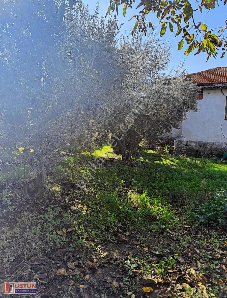 **denize Yakın Zeytin Ağaçları Bulunan 814m2 Alana Sahip Köy Evi - Görsel 12