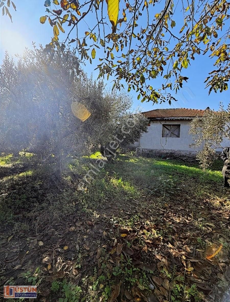 **denize Yakın Zeytin Ağaçları Bulunan 814m2 Alana Sahip Köy Evi - Görsel 25