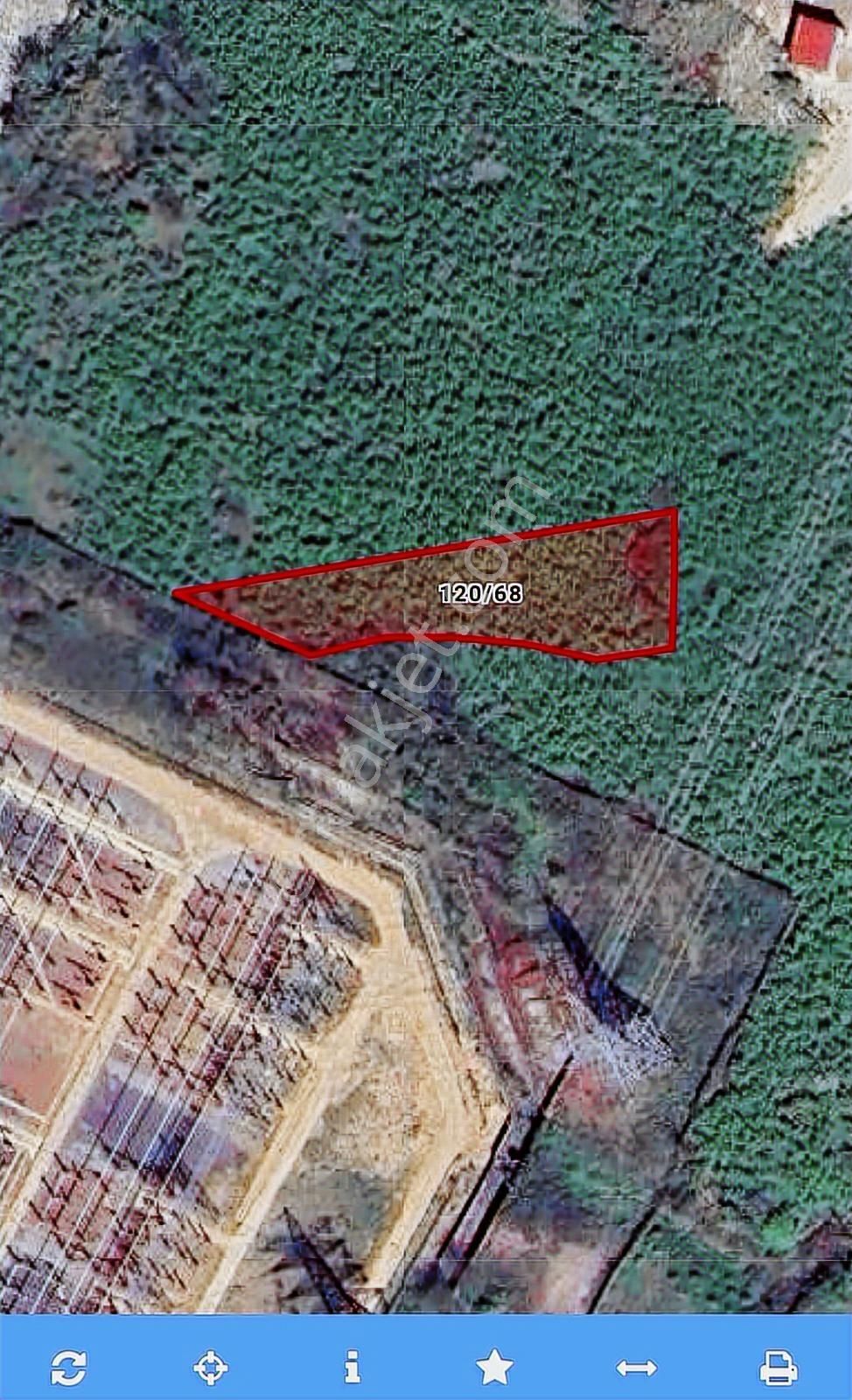 Ordu Merkeze Çok Yakın Uzunisada 1808 M2.satılık Fındık Bahçesi. - Görsel 2