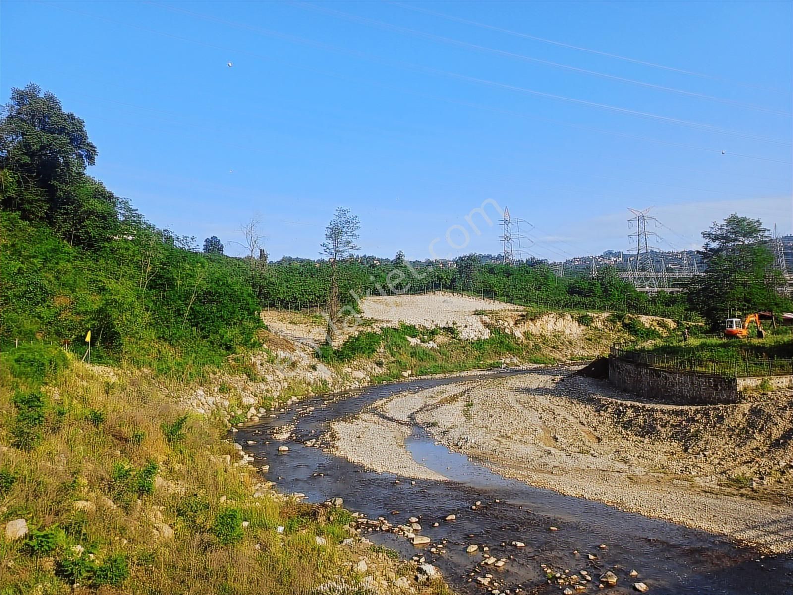 Ordu Merkeze Çok Yakın Uzunisada 1808 M2.satılık Fındık Bahçesi.