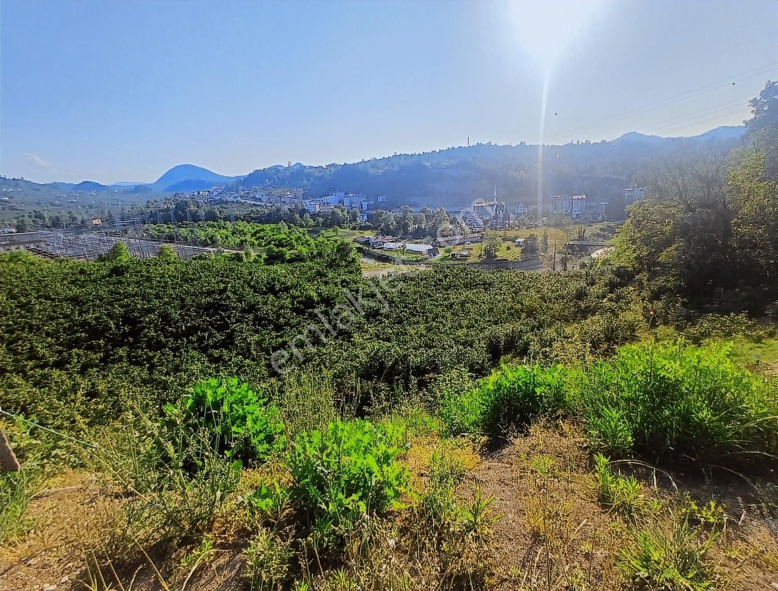 Ordu Merkeze Çok Yakın Uzunisada 1808 M2.satılık Fındık Bahçesi. - Görsel 8