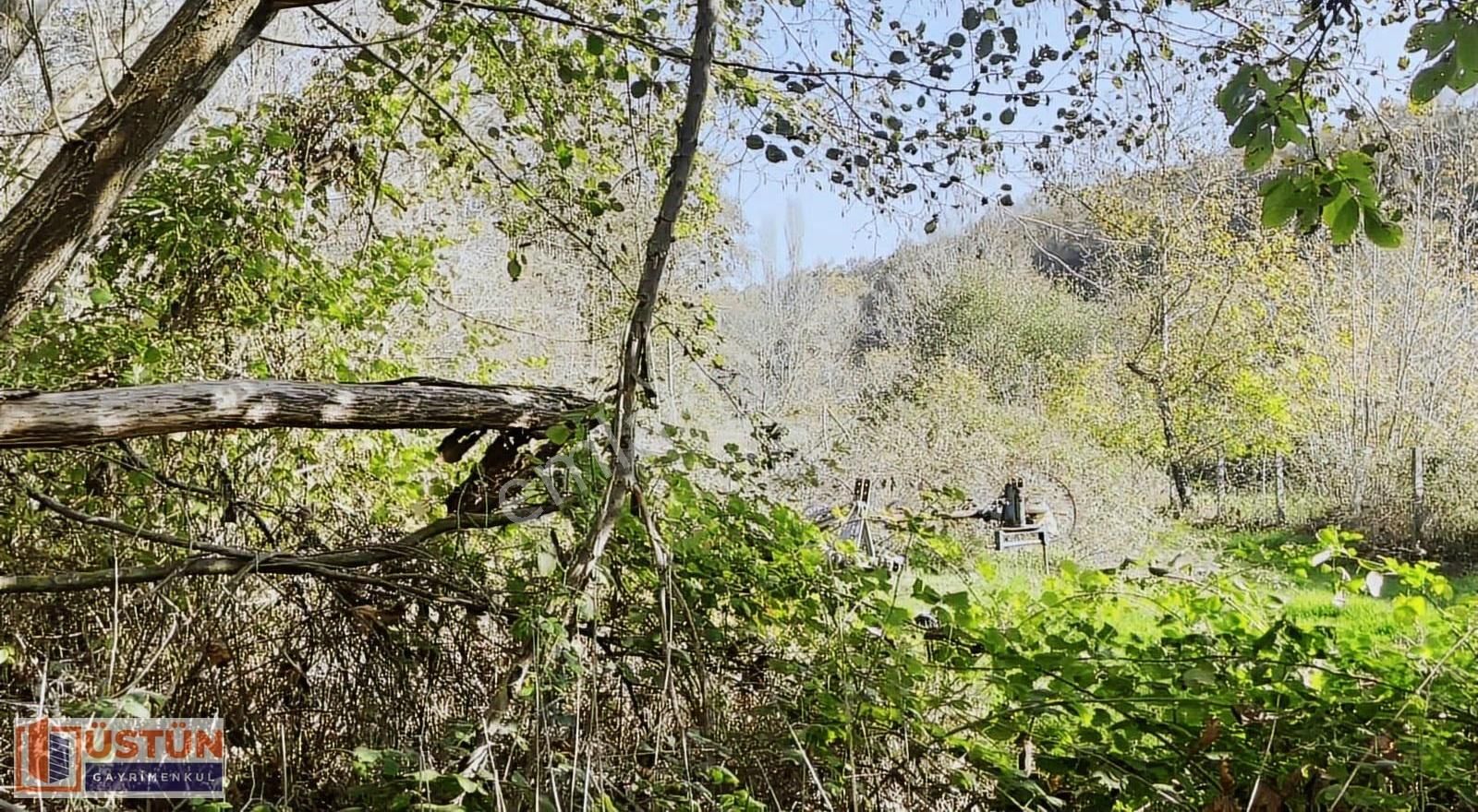 **doğanın İçinde Temiz Derenin Kenarında 3254 M2 Hobi Bahçesi** - Görsel 4