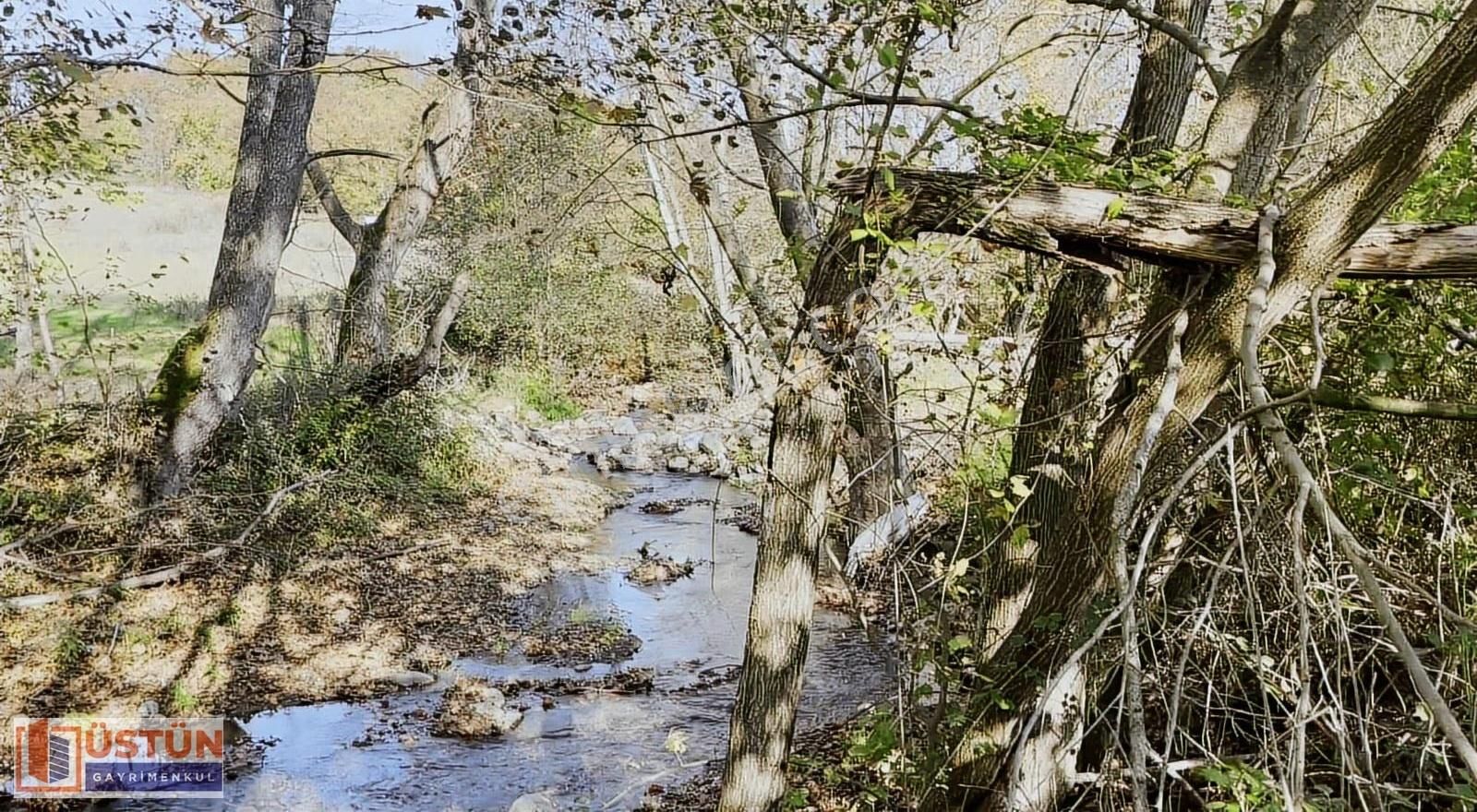 **doğanın İçinde Temiz Derenin Kenarında 3254 M2 Hobi Bahçesi** - Görsel 2