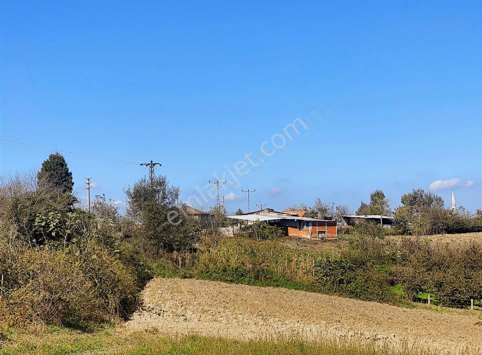 Ömerağa Mahallesinde Havadar İmar Sınırı Parsel - Görsel 4