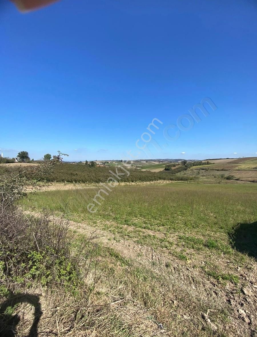 Ömerağa Mahallesinde Havadar İmar Sınırı Parsel - Görsel 7