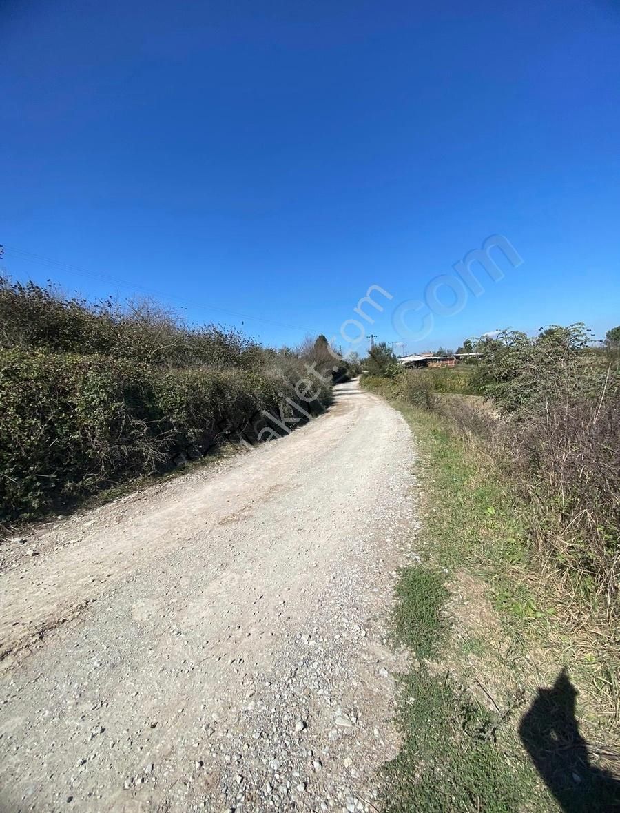 Ömerağa Mahallesinde Havadar İmar Sınırı Parsel - Görsel 6