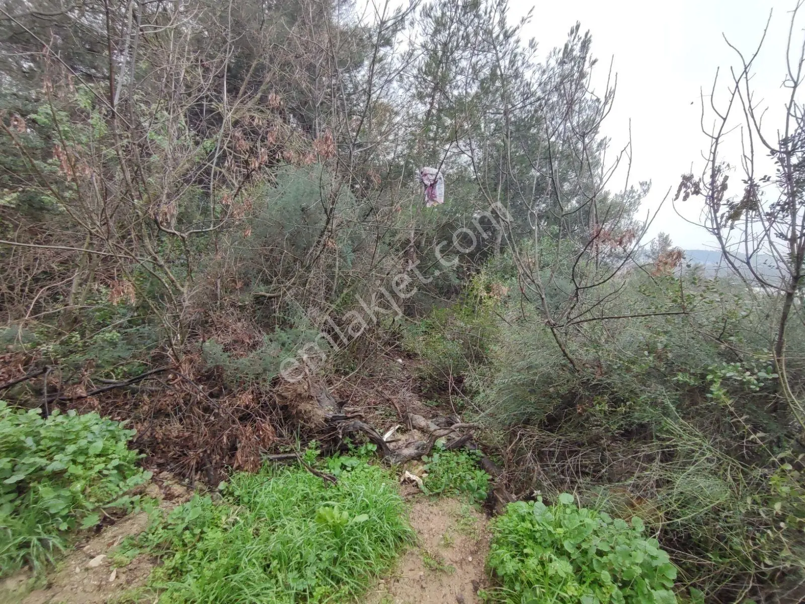 Baytürk'ten Nilüfer Tahtalı Da Satılık 222 M² Tarla - Görsel 19