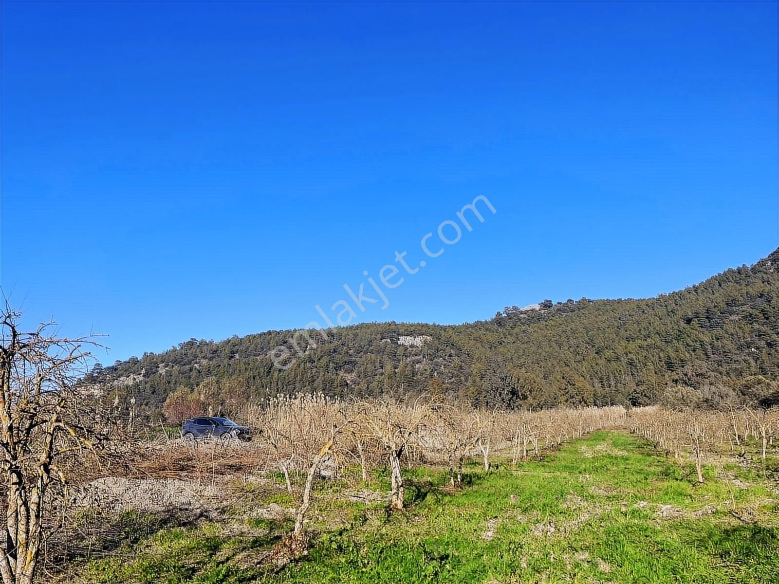 Ortaca Güzelyurt'ta 11000 M2 Müstakil Tapulu Satılık Tarla - Görsel 13