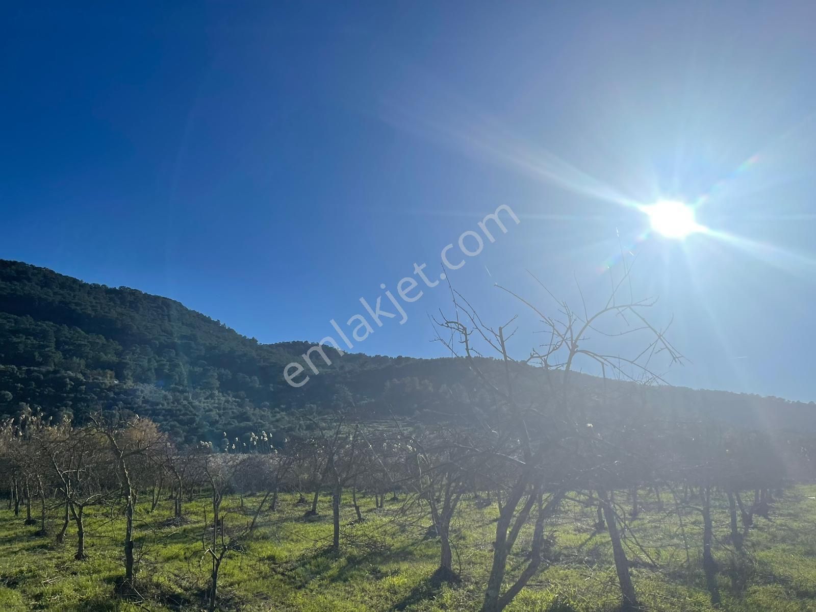 Ortaca Güzelyurt'ta 11000 M2 Müstakil Tapulu Satılık Tarla - Görsel 21
