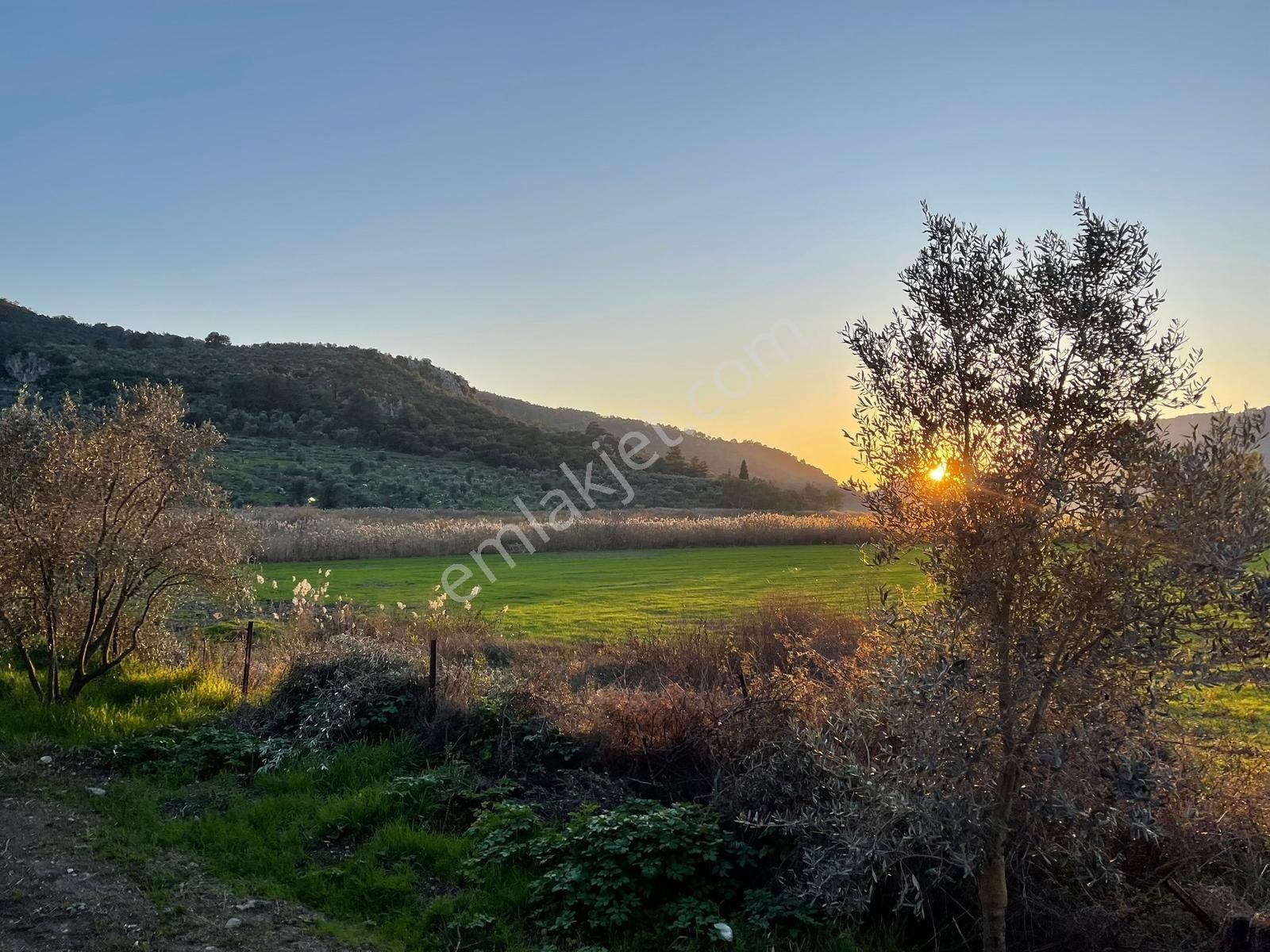 Ortaca Güzelyurt'ta 11000 M2 Müstakil Tapulu Satılık Tarla - Görsel 7