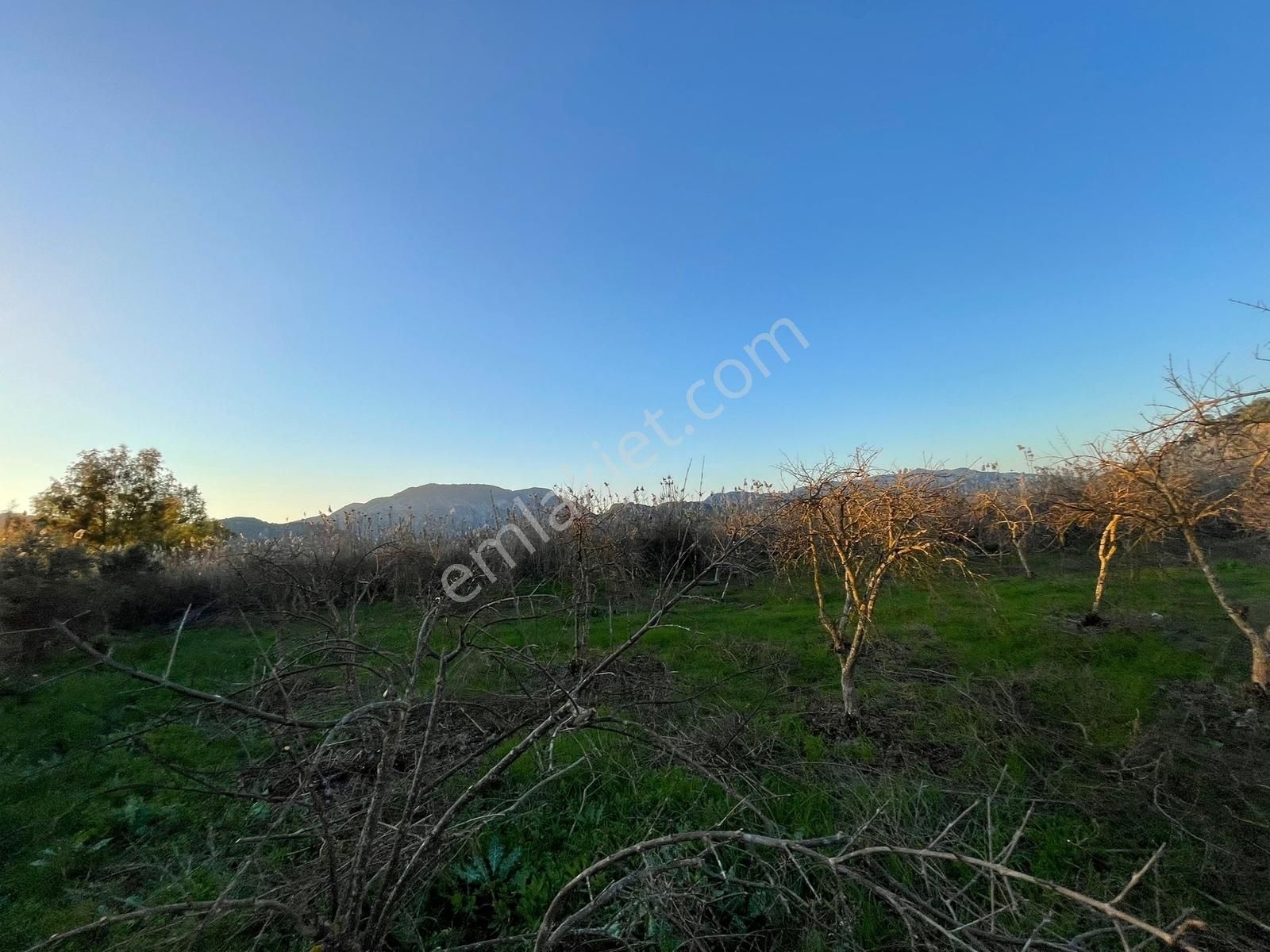 Ortaca Güzelyurt'ta 11000 M2 Müstakil Tapulu Satılık Tarla - Görsel 4