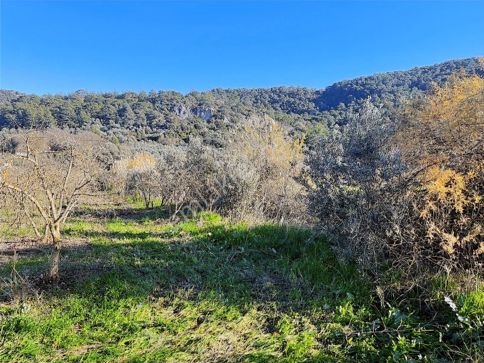 Ortaca Güzelyurt'ta 11000 M2 Müstakil Tapulu Satılık Tarla - Görsel 17