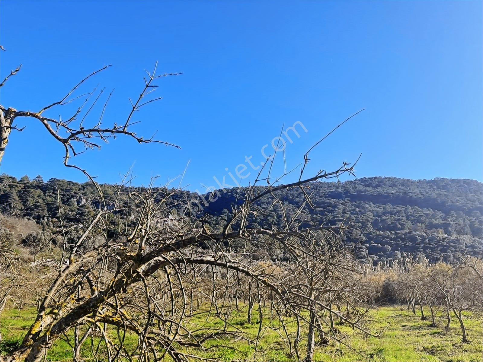 Ortaca Güzelyurt'ta 11000 M2 Müstakil Tapulu Satılık Tarla - Görsel 9
