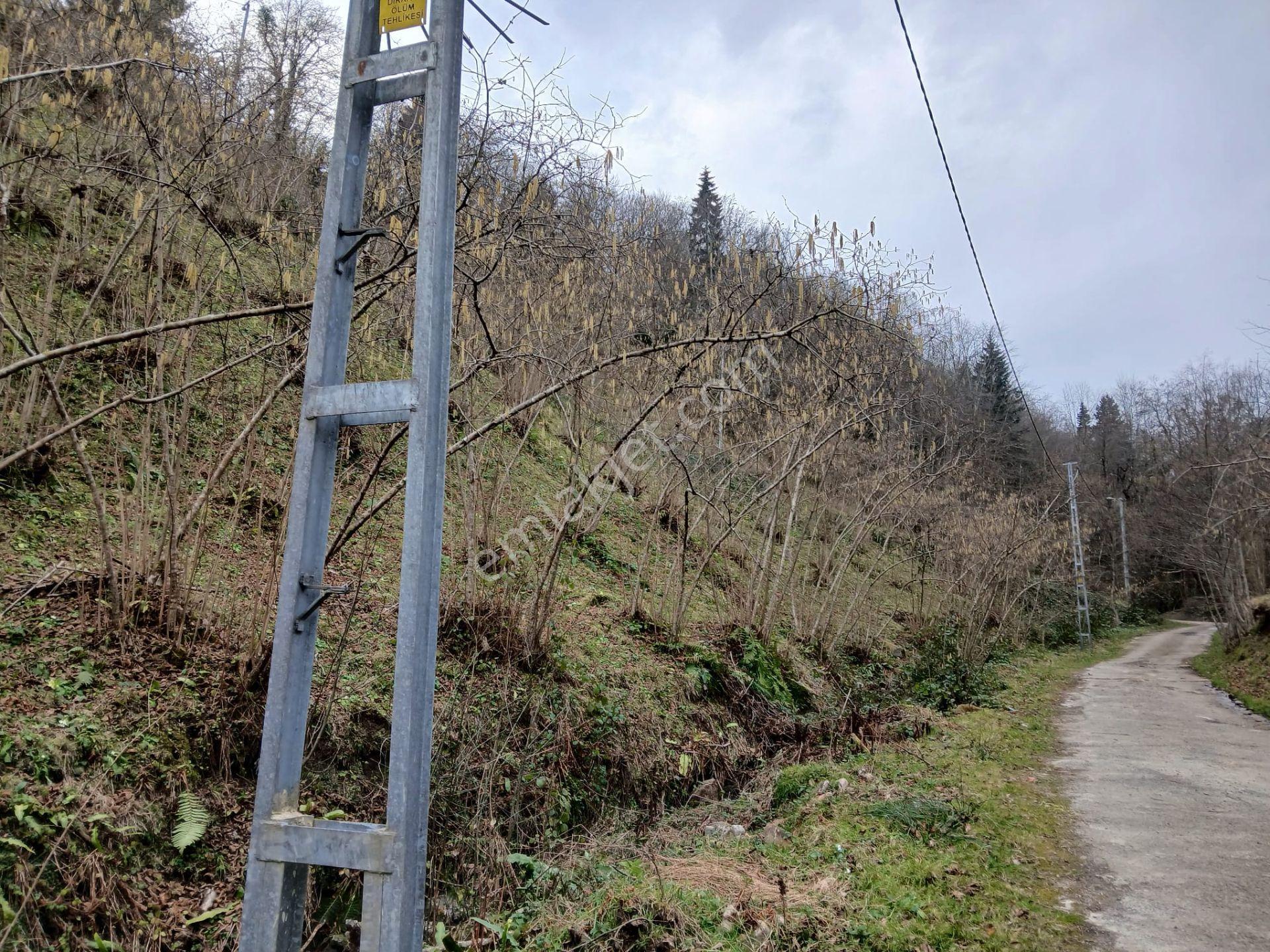 Kavala Mahallesinde Satılık Fırsat Fındıklık Arazi - Görsel 7