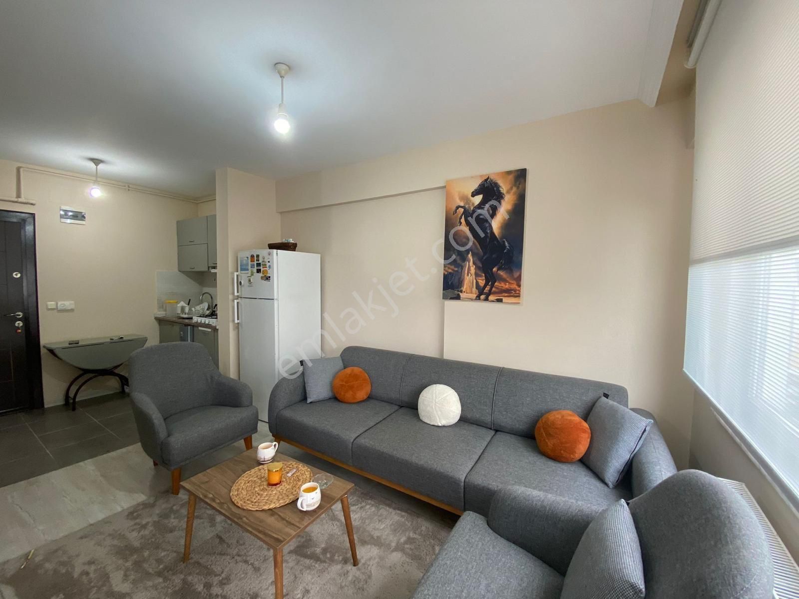 Almina Gayrimenkul’den 1+1 Lüks Eşyalı Kiralık Daire - Görsel 5