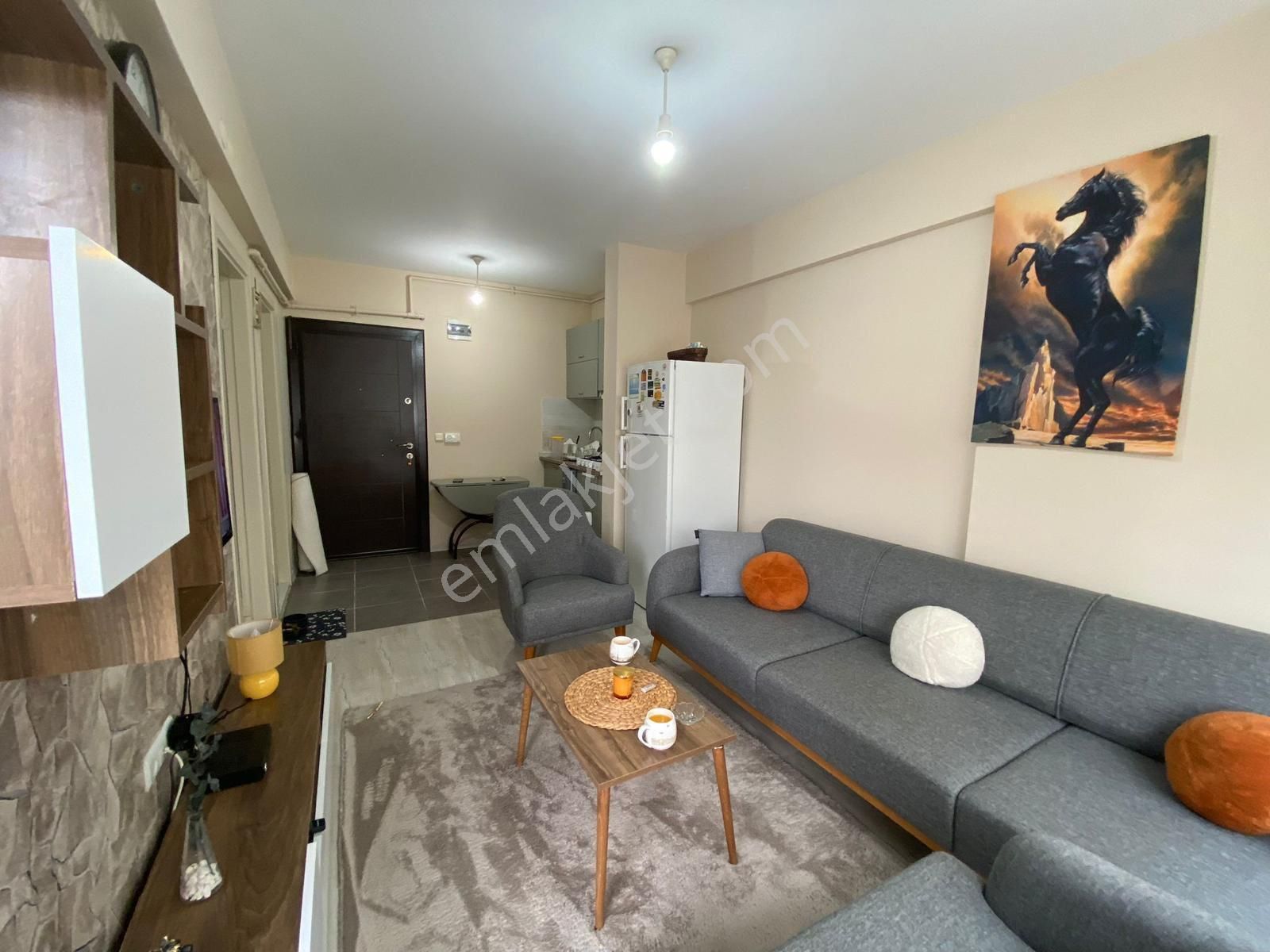 Almina Gayrimenkul’den 1+1 Lüks Eşyalı Kiralık Daire - Görsel 9