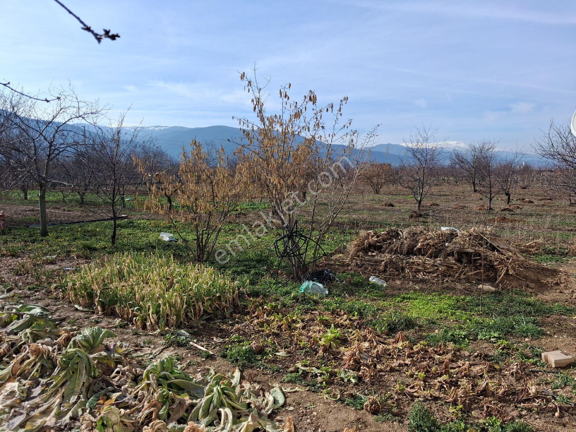 Daglı Emlaktan - Görsel 29