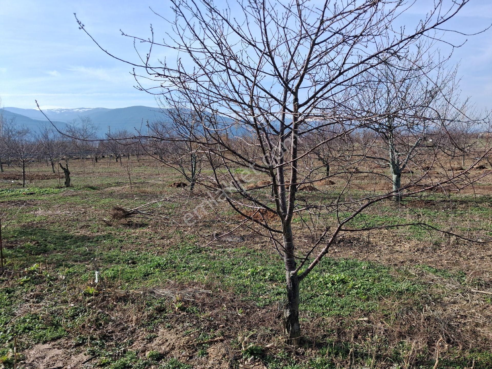 Daglı Emlaktan - Görsel 27