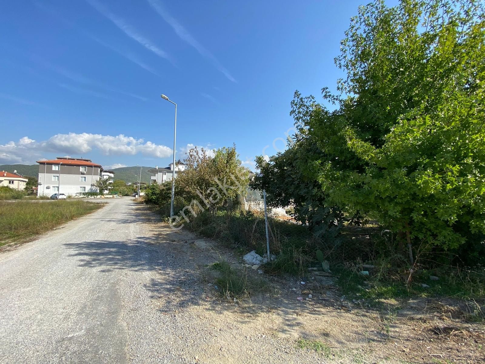 Dalaman Hürriyet Mahallesinde 509 M2 İmarlı Satılık Arsa - Görsel 6