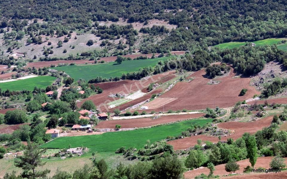 Turistik Bölgeye Komsu Kacirilmayacak 4,149 M2 Arsa