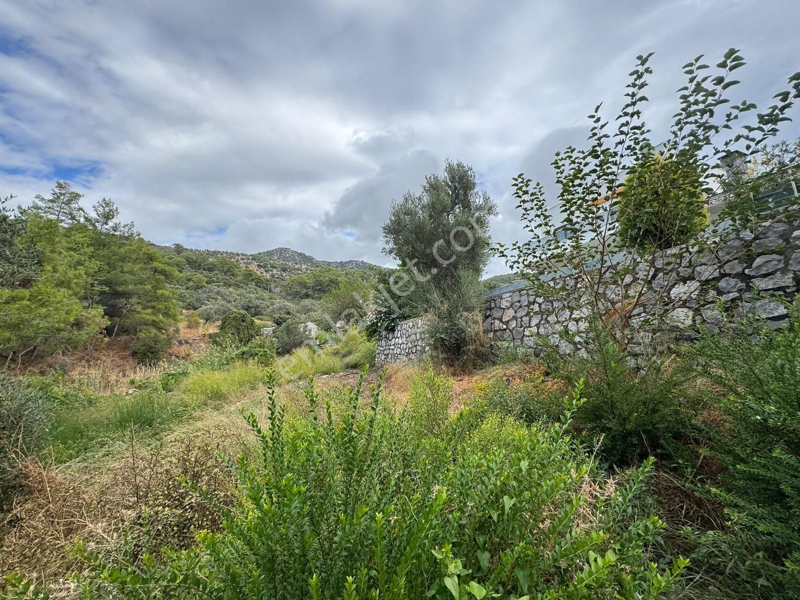 Paşa Emlak'tan Dalaman Şerefler'de Doğa İçinde 347m2 İmarlı Arsa - Görsel 11