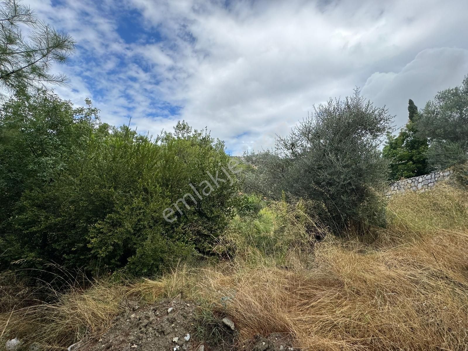 Paşa Emlak'tan Dalaman Şerefler'de Doğa İçinde 347m2 İmarlı Arsa - Görsel 7