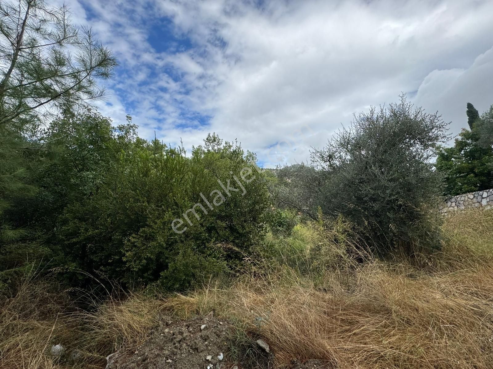 Paşa Emlak'tan Dalaman Şerefler'de Doğa İçinde 347m2 İmarlı Arsa - Görsel 9